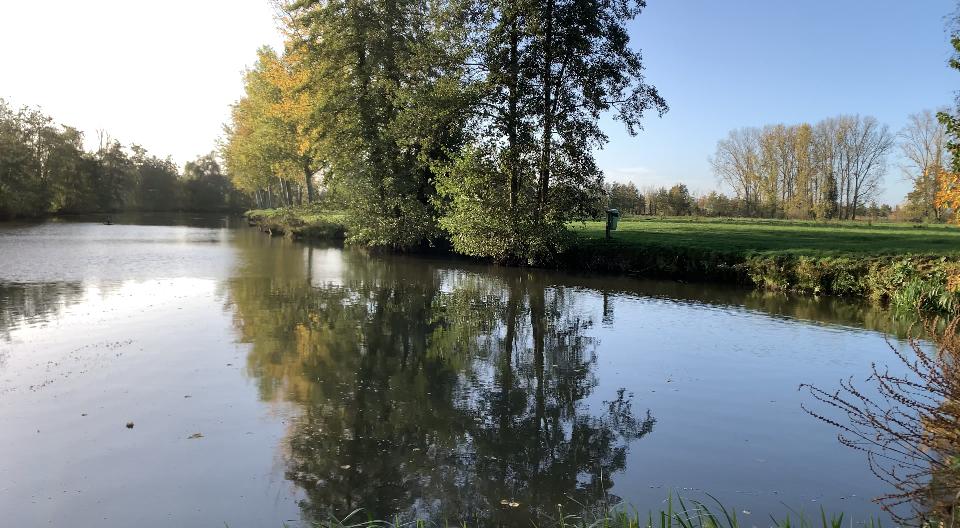 Ontdek de prachtige omgeving in Domein De Ghellinck.